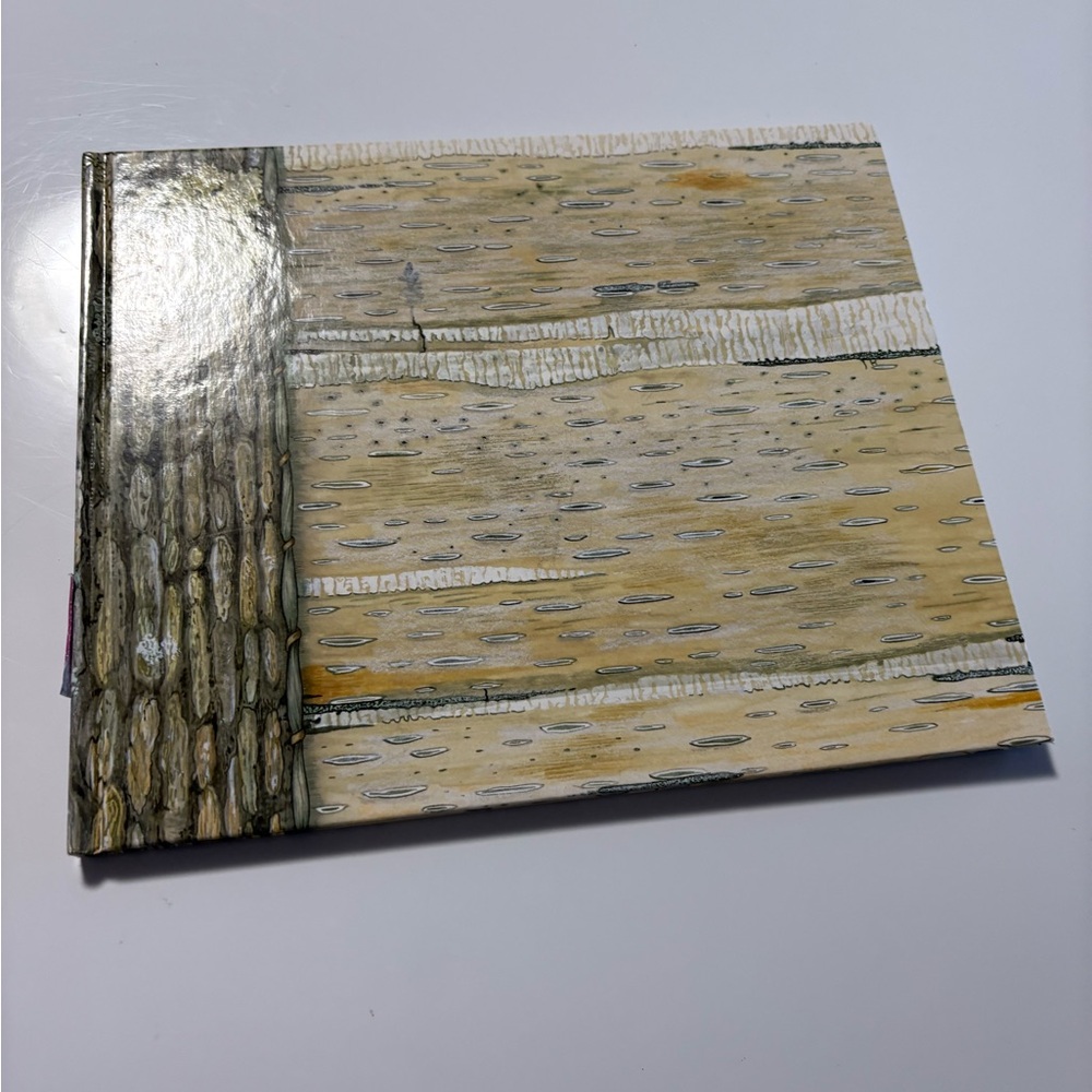 The mitten- hardcover book
